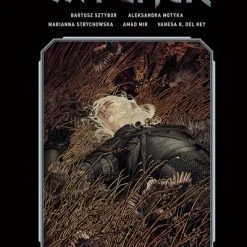 DARK HORSE The Witcher Graphic Novel Volume 2 Library Edition (Hardcover)